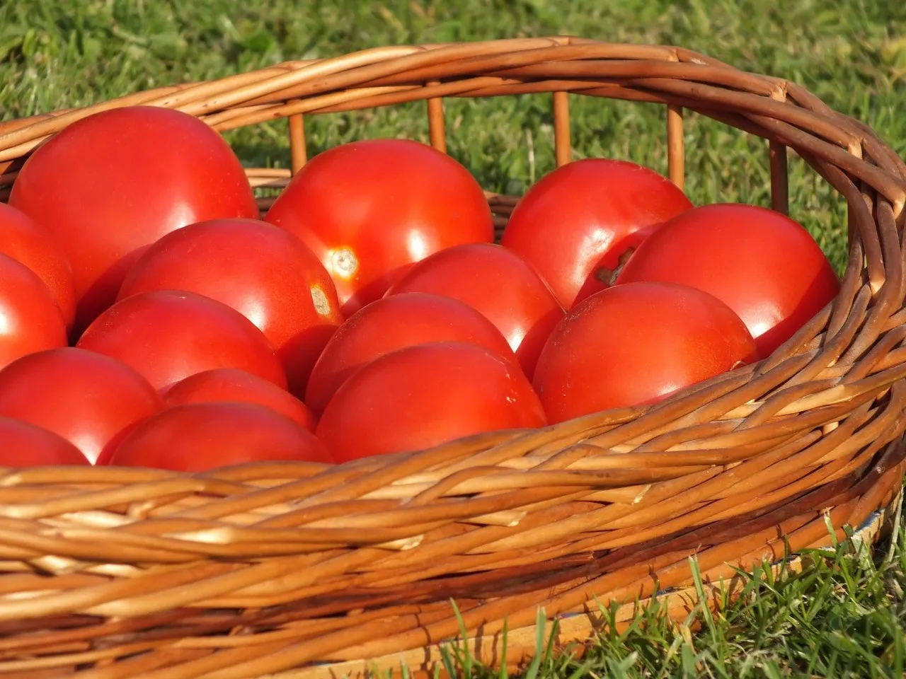 Ketchup z pomidorów