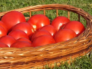 Ketchup z pomidorów - 3