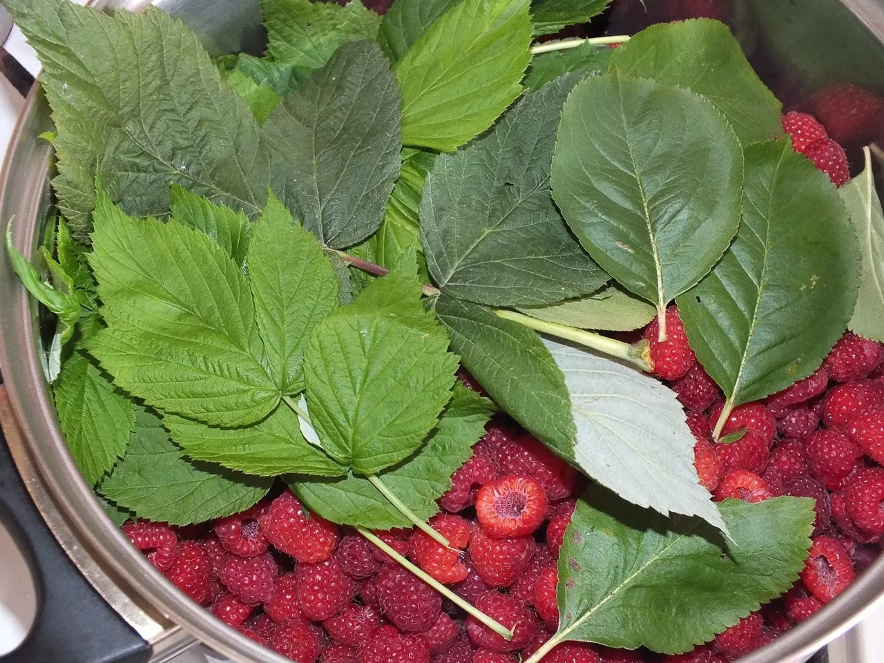 Sok malinowy z nutką mięty i aronii