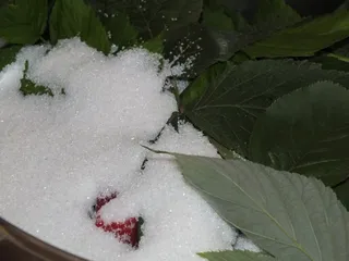 Sok malinowy z nutką mięty i aronii - 7