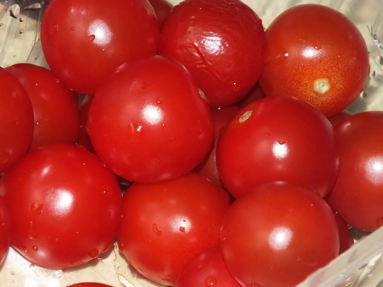 Mini szaszłyki z serem mozzarella