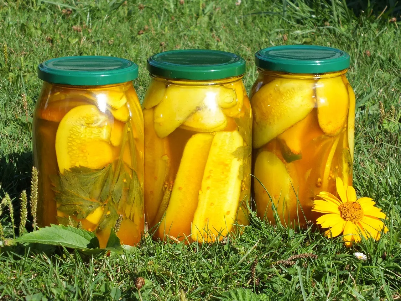 Aromatyczne ogórki kanapkowe