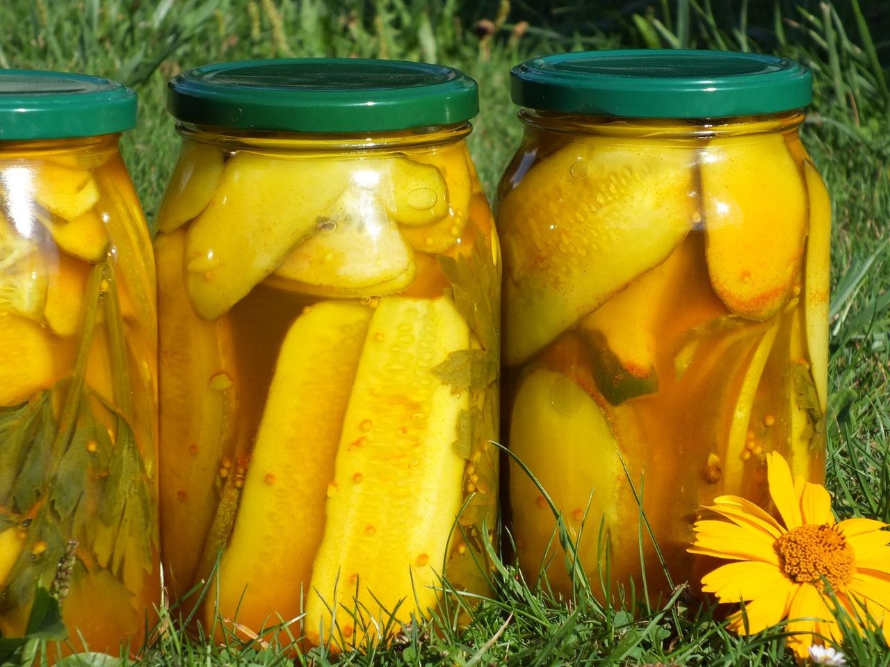 Aromatyczne ogórki kanapkowe