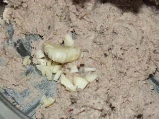 Pasta mięsna z jajkiem - 7