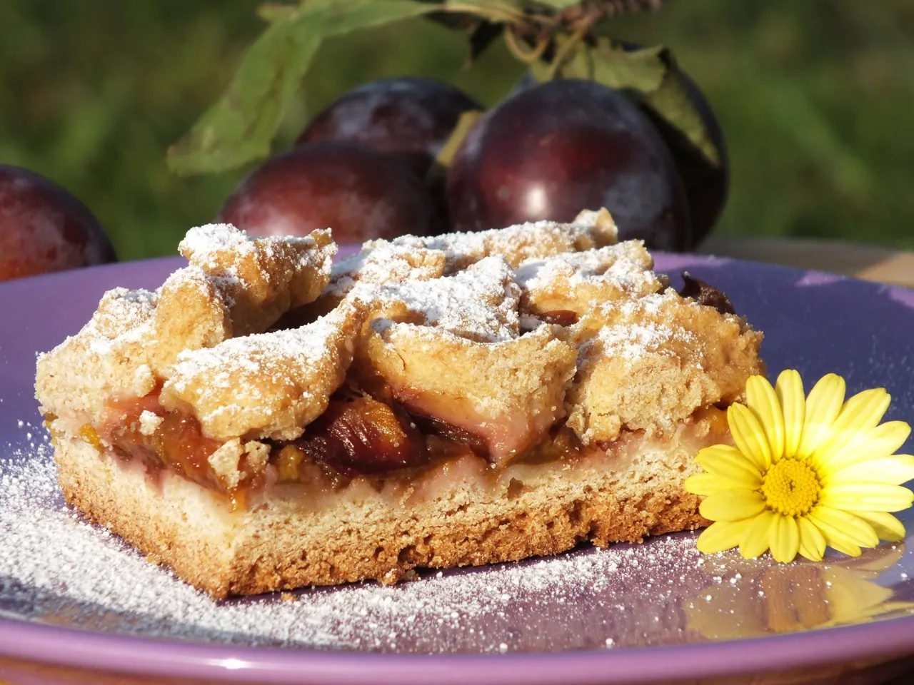 Kruche ciasto ze śliwkami