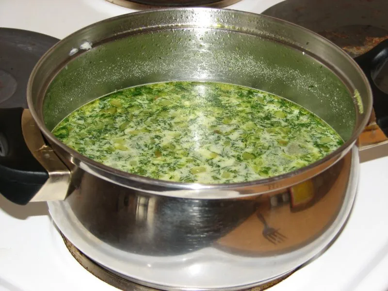 Zupa koperkowa